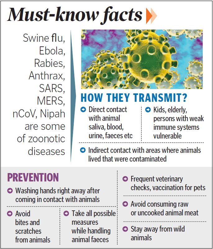 COVID19 PANDEMIC - WHAT WE NEED TO TEACH OUR CHILDREN!