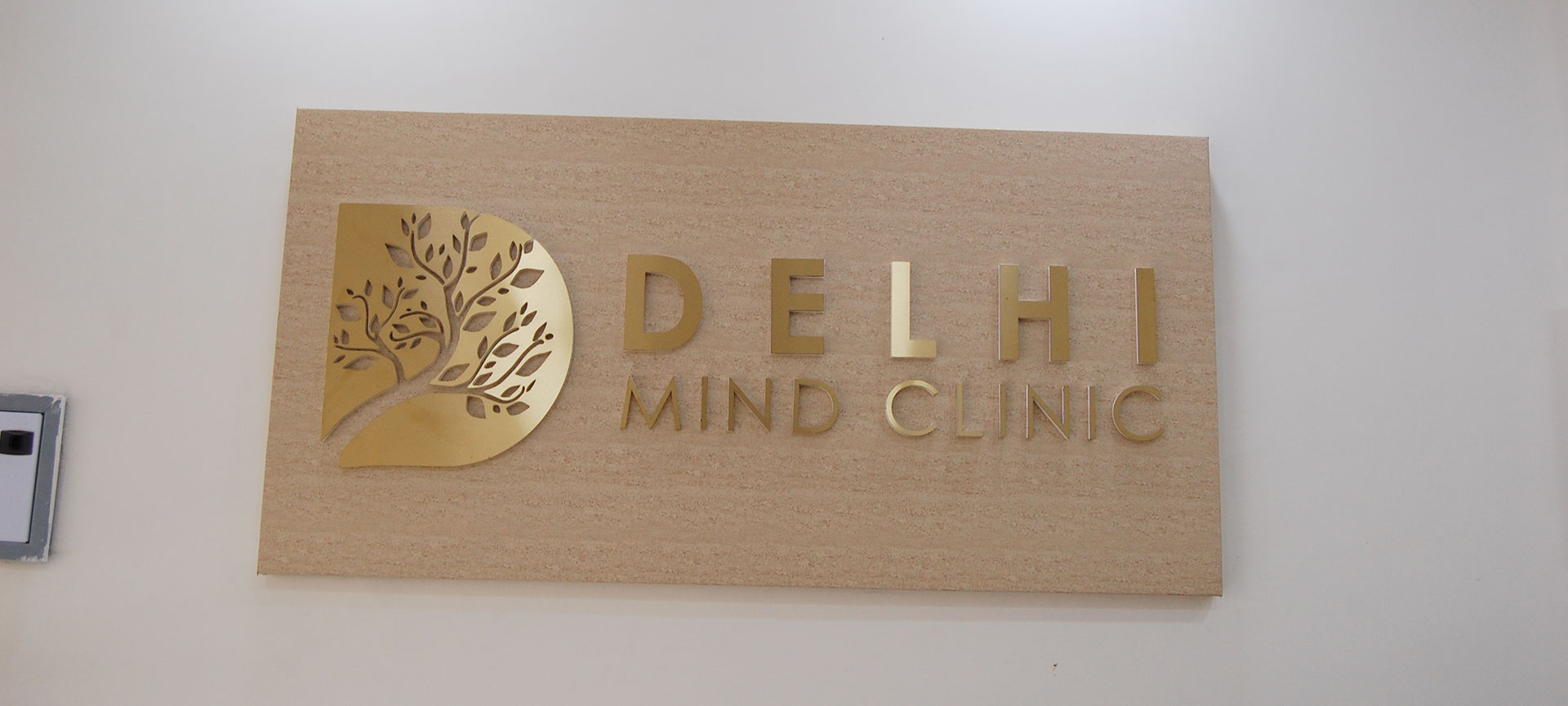 Delhimindclinic Wall Logo Office