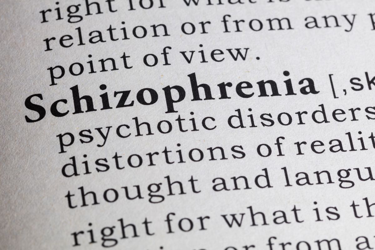 Define Schizophrenia Schizophrenia Definition