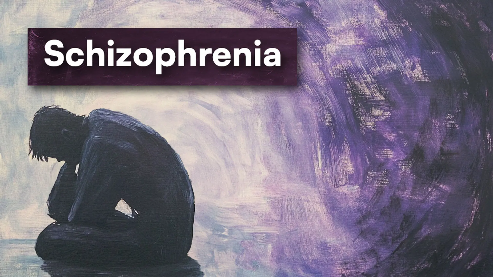 summary of schizophrenia