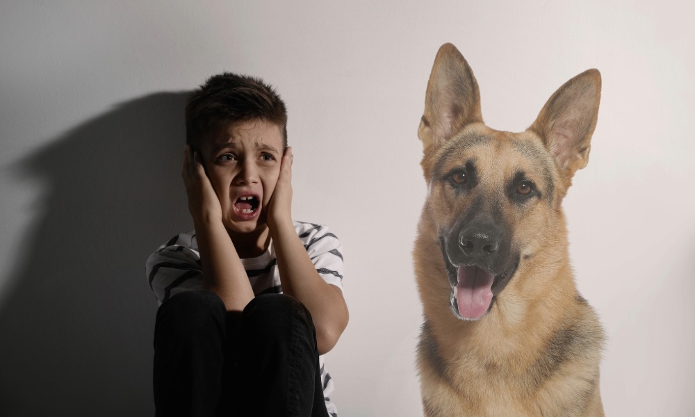 cynophobia treatment near me